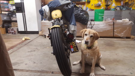 1983 Yamaha XS650